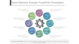 Brand Elements Example Powerpoint Presentation