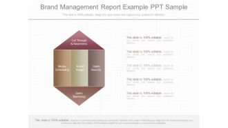 Brand Management Report Example Ppt Sample