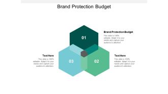Brand Protection Budget Ppt PowerPoint Presentation File Show Cpb