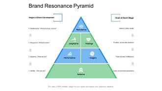 Brand Resonance Pyramid Ppt Powerpoint Presentation File Example Introduction