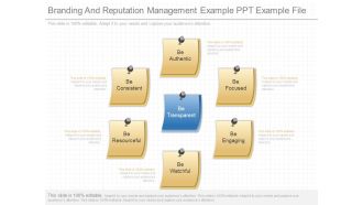 Branding And Reputation Management Example Ppt Example File
