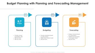 Budget Planning With Planning And Forecasting Management Ppt PowerPoint Presentation File Pictures PDF