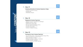 Building Customer Experience Strategy For Business Table Of CONTENT Designs PDF