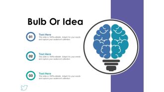 Bulb Or Idea Ppt PowerPoint Presentation Model Show