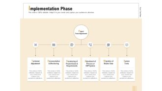 Business Activity Flows Optimization Implementation Phase Ppt PowerPoint Presentation Portfolio Smartart PDF