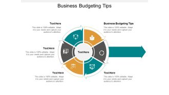 Business Budgeting Tips Ppt PowerPoint Presentation Outline Objects Cpb