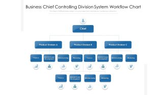 Business Chief Controlling Division System Workflow Chart Ppt PowerPoint Presentation Gallery Examples PDF
