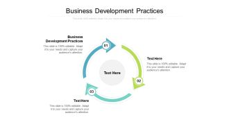 Business Development Practices Ppt PowerPoint Presentation Pictures Graphics Tutorials Cpb