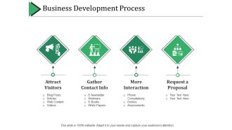Business Development Process Ppt PowerPoint Presentation Pictures Format