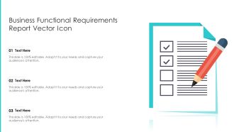 Business Functional Requirements Report Vector Icon Ppt Portfolio Infographic Template PDF