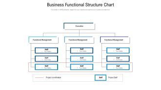 Business Functional Structure Chart Ppt PowerPoint Presentation File Rules PDF