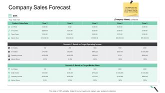 Business Functions Administration Company Sales Forecast Ppt Layouts Slide Portrait PDF