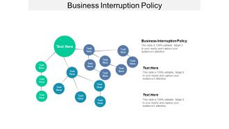 Business Interruption Policy Ppt PowerPoint Presentation Summary Structure