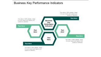 Business Key Performance Indicators Ppt PowerPoint Presentation File Rules Cpb
