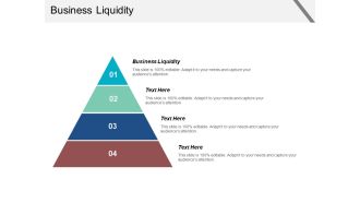 Business Liquidity Ppt PowerPoint Presentation Portfolio Graphics