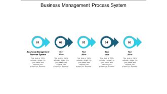 Business Management Process System Ppt PowerPoint Presentation Portfolio Outfit Cpb