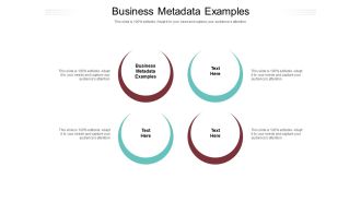Business Metadata Examples Ppt PowerPoint Presentation Portfolio Themes Cpb Pdf