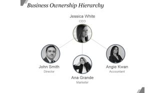 Business Ownership Hierarchy Ppt PowerPoint Presentation Example File