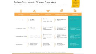 Business Planning And Strategy Playbook Business Structure With Different Parameters Formats PDF