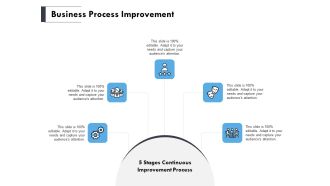 Business Process Improvement Ppt PowerPoint Presentation Infographics Ideas