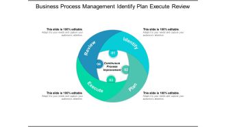 Business Process Management Identify Plan Execute Review Ppt PowerPoint Presentation Professional Outline