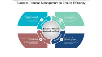Business Process Management To Ensure Efficiency Ppt PowerPoint Presentation Professional Shapes