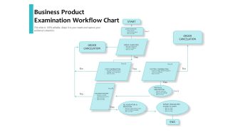 Business Product Examination Workflow Chart Ppt PowerPoint Presentation Visual Aids Infographics PDF