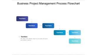 Business Project Management Process Flowchart Ppt PowerPoint Presentation Gallery Ideas PDF