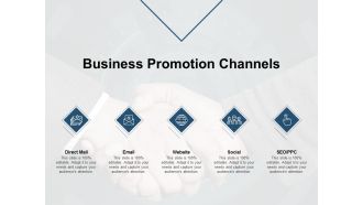 Business Promotion Channels Ppt PowerPoint Presentation Portfolio Example