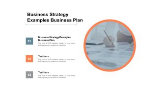 Business Strategy Examples Business Plan Ppt PowerPoint Presentation Ideas Cpb
