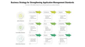 Business Strategy For Strengthening Application Management Standards Ppt PowerPoint Presentation File Graphics Tutorials PDF