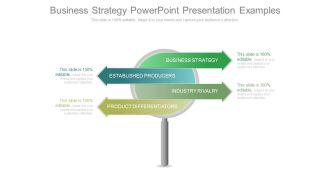 Business Strategy Powerpoint Presentation Examples