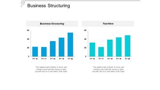 Business Structuring Ppt PowerPoint Presentation Model Objects Cpb