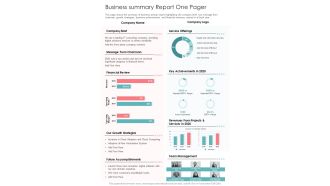 Business Summary Report One Pager One Pager Documents