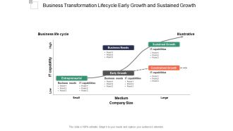 Business Transformation Lifecycle Early Growth And Sustained Growth Ppt PowerPoint Presentation File Graphics Design