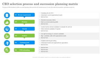 CEO Selection Process And Succession Planning Matrix Ppt Gallery Sample PDF