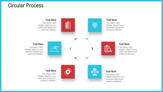 CRM Circular Process Ppt File Picture PDF