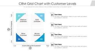 CRM Grid Chart With Customer Levels Ppt PowerPoint Presentation File Aids PDF