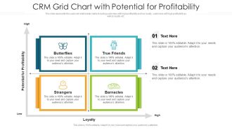 CRM Grid Chart With Potential For Profitability Ppt PowerPoint Presentation File Inspiration PDF