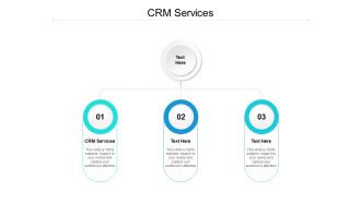 CRM Services Ppt PowerPoint Presentation Summary File Formats Cpb