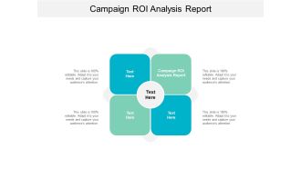 Campaign ROI Analysis Report Ppt PowerPoint Presentation Infographic Template Vector Cpb