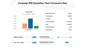 Campaign ROI Calculation Chart Conversion Rate Ppt PowerPoint Presentation Gallery Design Ideas PDF