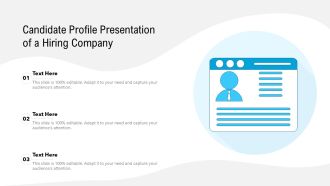 Candidate Profile Presentation Of A Hiring Company Ppt Summary File Formats PDF