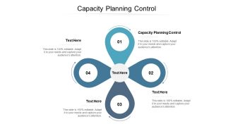 Capacity Planning Control Ppt PowerPoint Presentation Professional Visuals Cpb