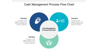 Cash Management Process Flow Chart Ppt PowerPoint Presentation Show Icons Cpb