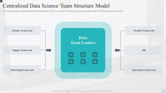 Centralized Data Science Team Structure Model Summary PDF