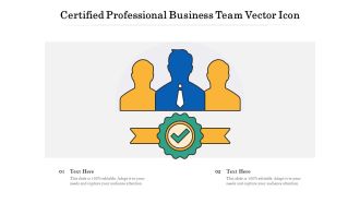 Certified Professional Business Team Vector Icon Ppt PowerPoint Presentation Infographics Templates PDF