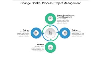 Change Control Process Project Management Ppt PowerPoint Presentation Portfolio Cpb