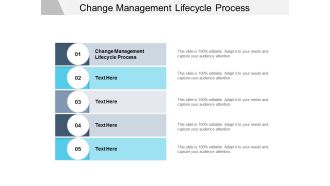 Change Management Lifecycle Process Ppt PowerPoint Presentation Slides Styles Cpb