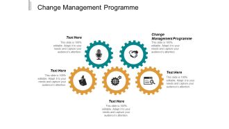 Change Management Programme Ppt PowerPoint Presentation Styles Graphics Example Cpb